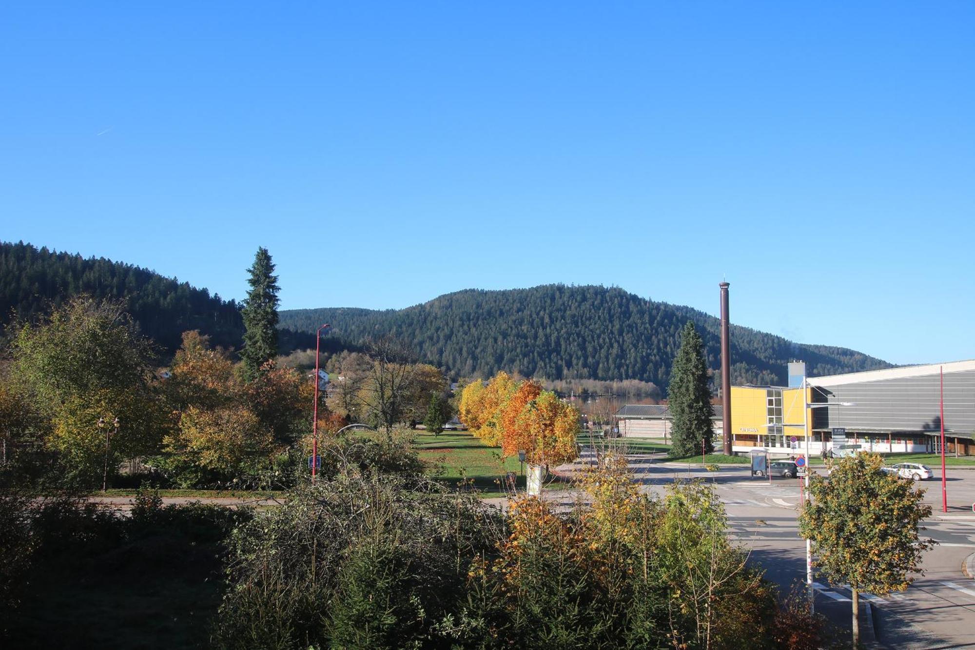 Les Loges Du Parc Hotel Gérardmer Quarto foto